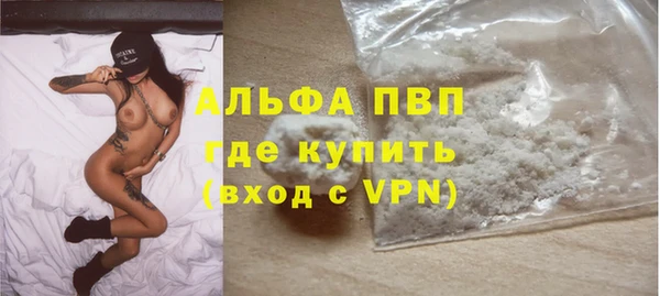амф Верхний Тагил