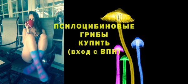 стаф Володарск