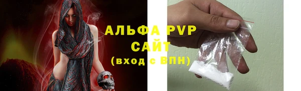 амф Верхний Тагил