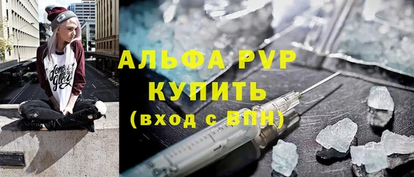 стаф Володарск