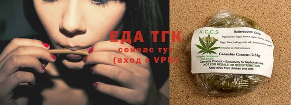 амф Верхний Тагил