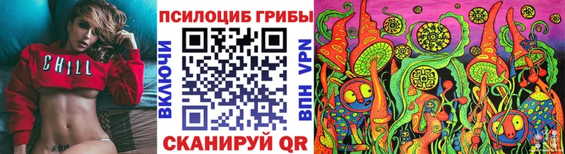 Псилоцибиновые грибы Psilocybe  Злынка 